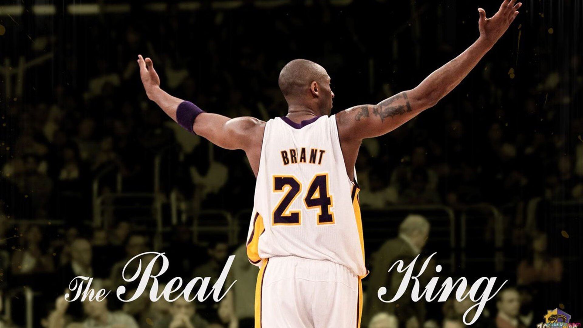 开云官网-达里尔·基：以强悍防守和精准反击助全黑队掌控比赛，达里尔什么时候归队