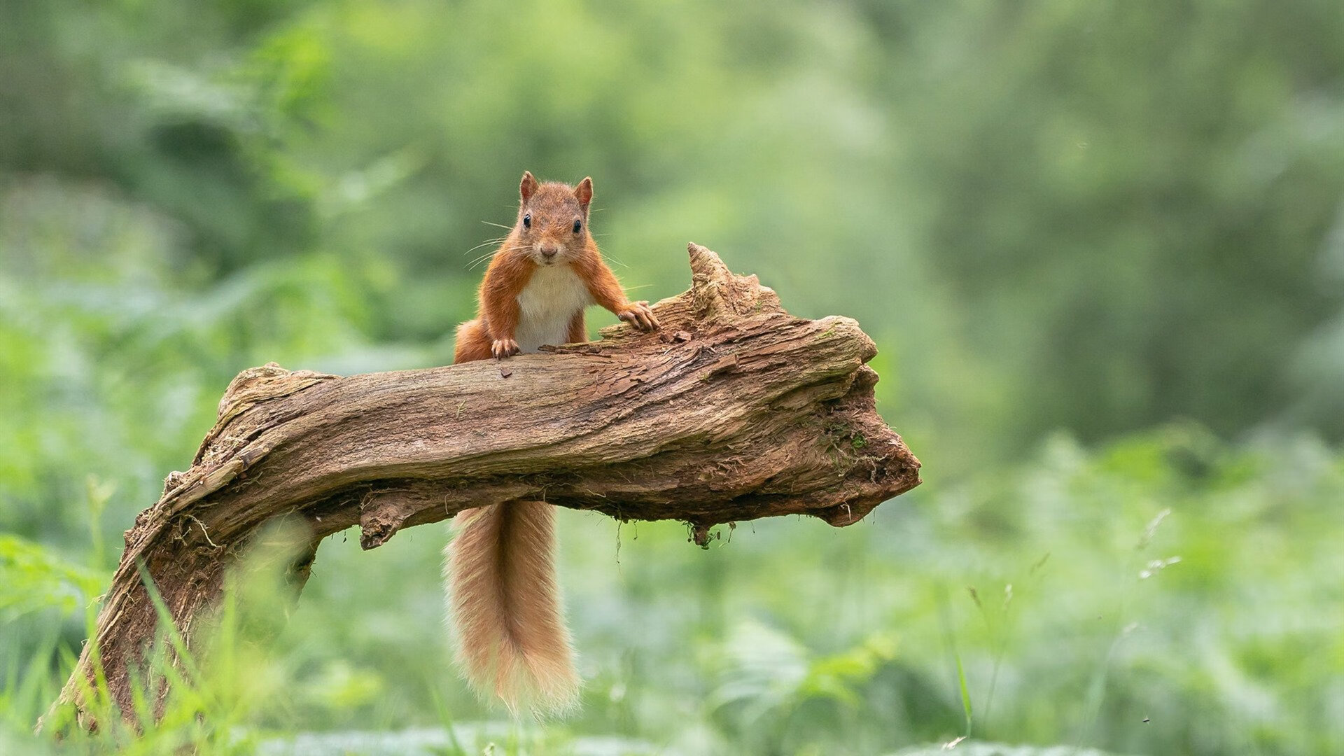 开云体育-_赛事总结：本年度最值得回忆的精彩比赛_，相当精彩的比赛