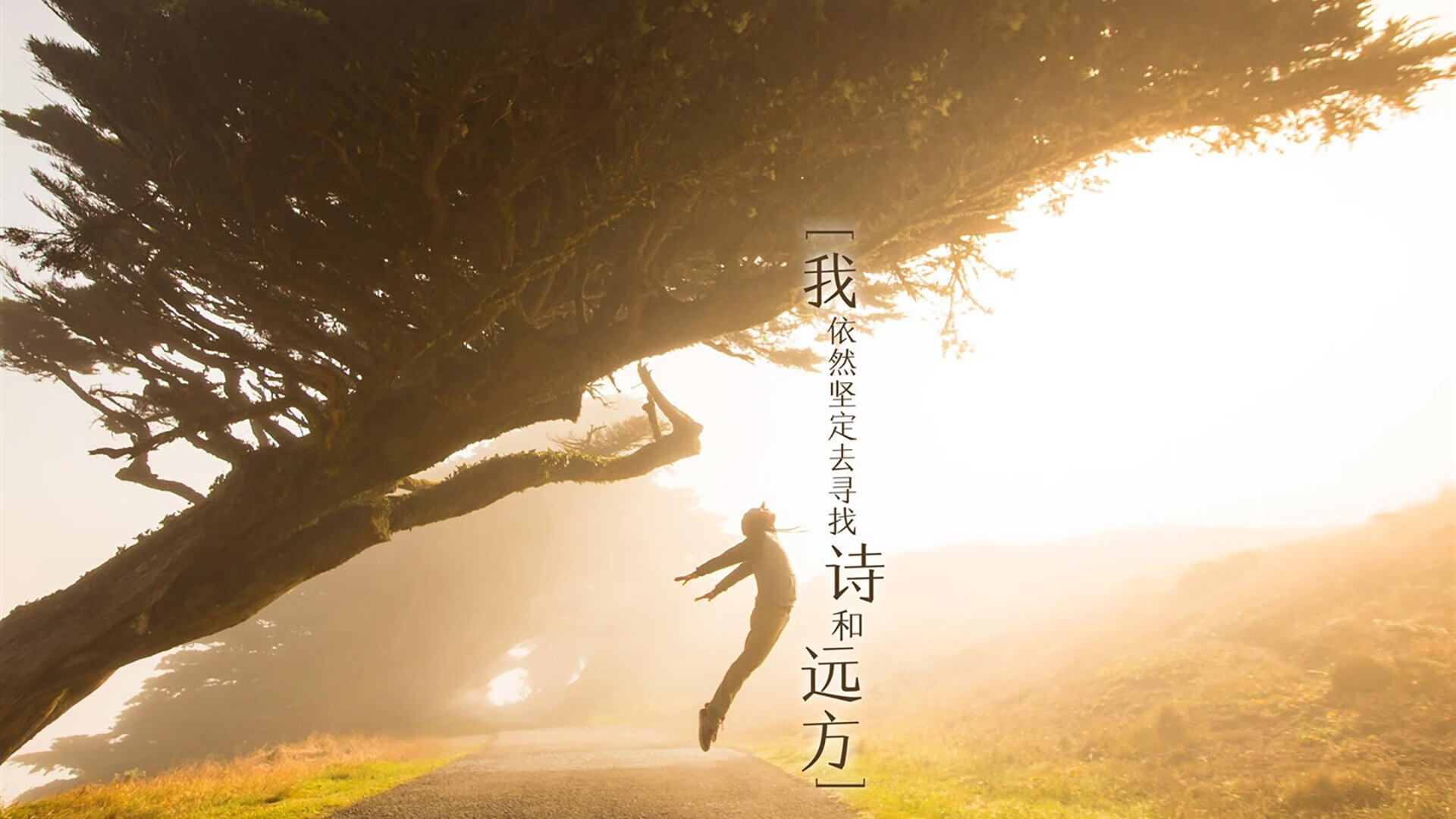 【比赛纪录】最快破局：纪录背后的精彩故事，打破纪录破记录区别